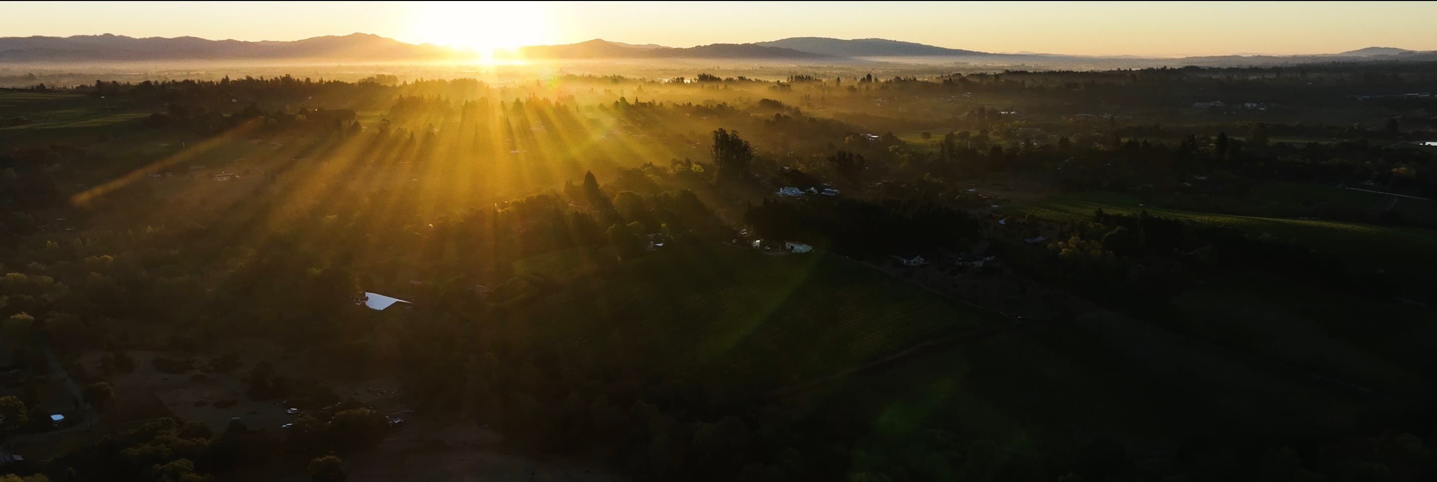 Earl Stephens Vineyard - Earl Stephens Russian River Valley Sunrise