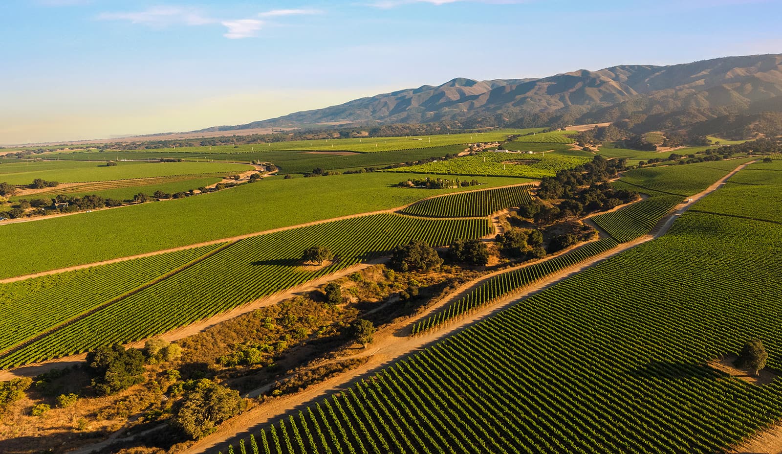 Soberanes Vineyard - Soberanes Vineyard Aerial View 2