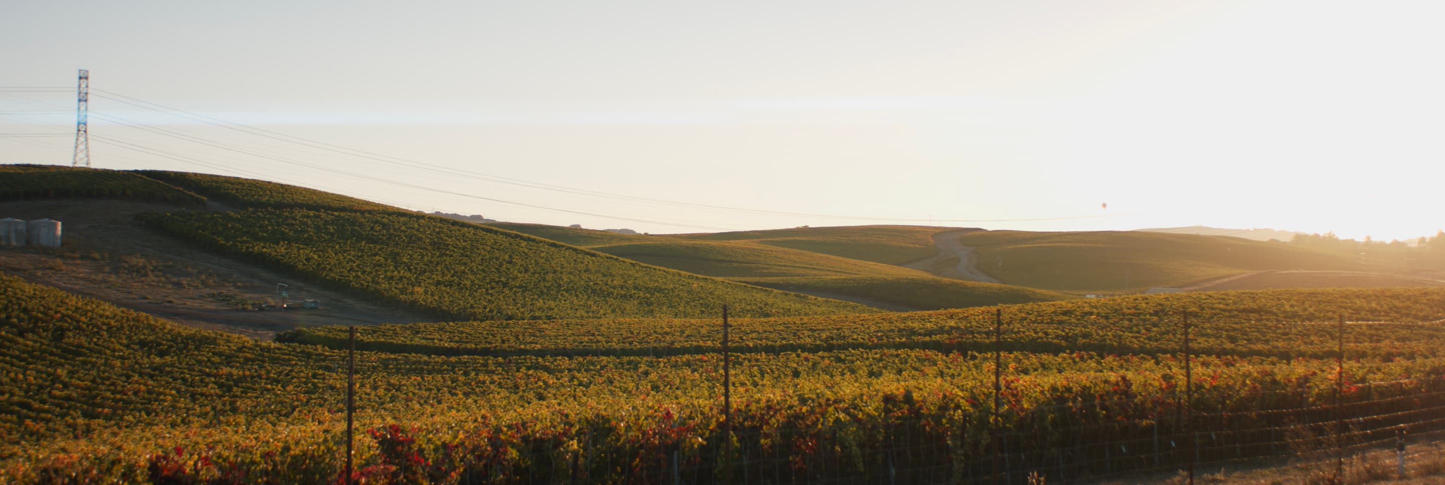 Terra de Promissio - Terra de Promissio at Sunrise