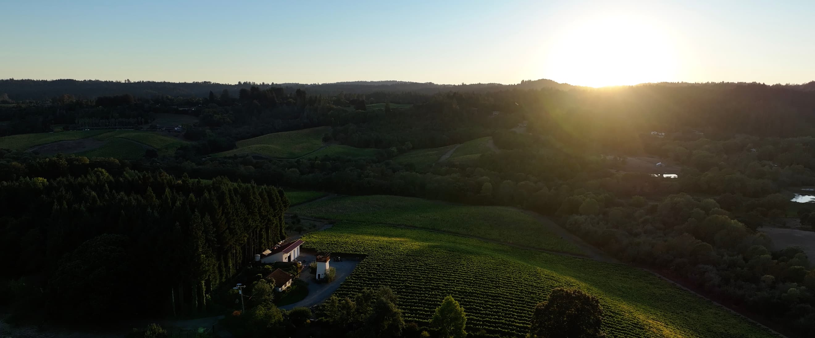 Earl Stephens Vineyard - Earl Stephens Vineyard Sunset